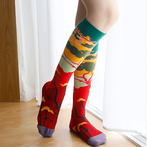 マルチカラーフラワー&フェザーロングソックス3点セット Z00526