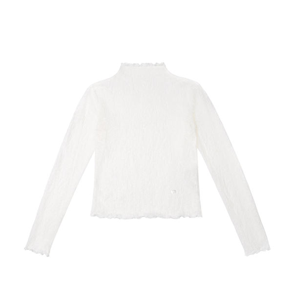 メッシュレースハーフハイネックトップ《Z00819》