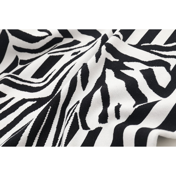 【2color】ストライプ×ゼブラ柄プリントニットトップ Z00215