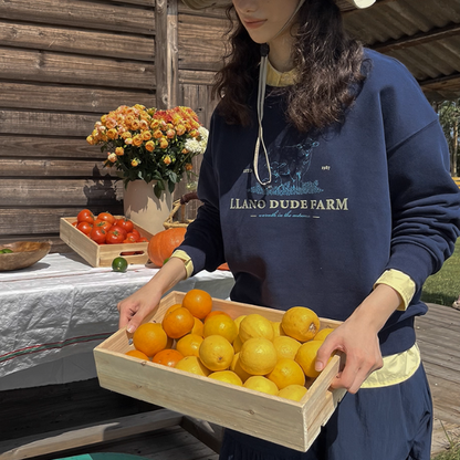 牧場プリントのレトロスウェットプルオーバー《Z01079》