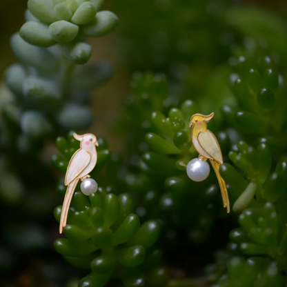 イエローオウムモチーフピアス《Z00871》