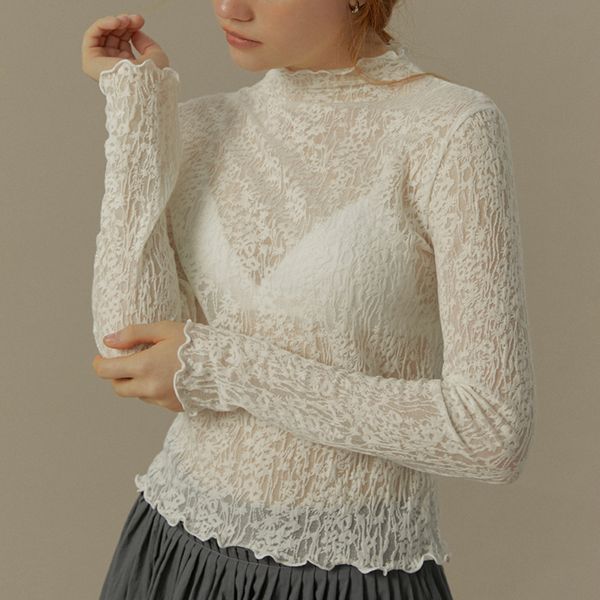 メッシュレースハーフハイネックトップ《Z00819》