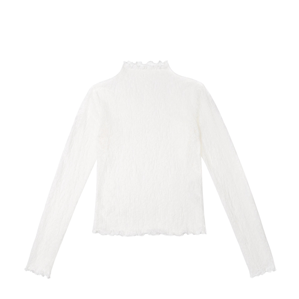 メッシュレースハーフハイネックトップ《Z00819》