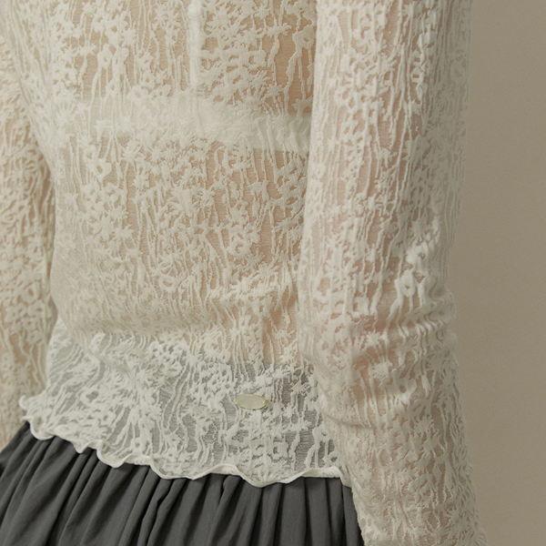 メッシュレースハーフハイネックトップ《Z00819》