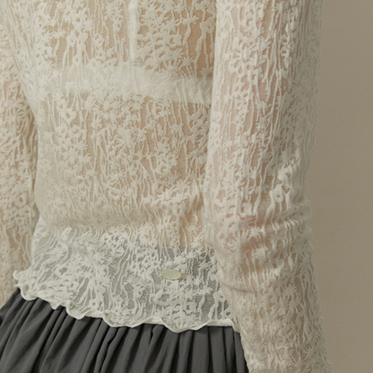 メッシュレースハーフハイネックトップ《Z00819》