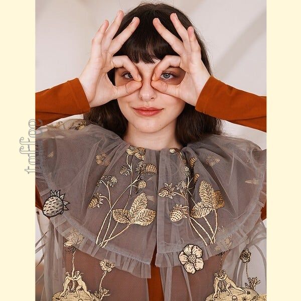 ニッチでレトロな植物画刺繍：フェアリーシアーベスト C0162